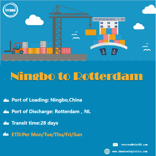 FCL Sea Freight From Ningbo To Rotterdam Netherlands