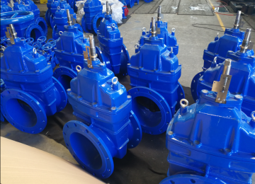 Resilient Seated Gate Valves