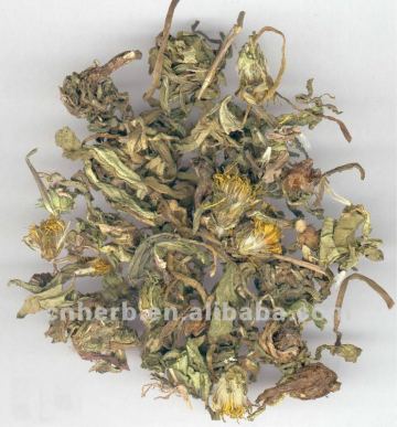 Dried Dandelion,herb,Taraxacum officinale,Taraxacum tea,Herba taraxaci officinalis,Pu gong ying,Pugongying,Diuretics