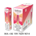 Kristallnetz Einwegstift 600 Puffs