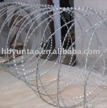 Razor wire mesh for the wall protect
