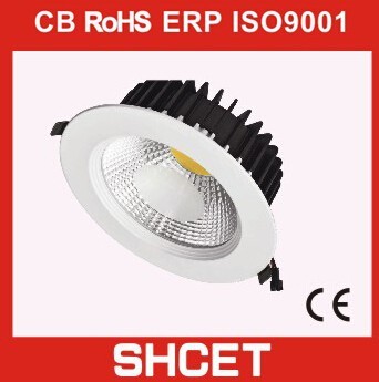 LED Ceiling Light with Cheap Price