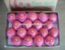 Best Price Fresh Fuji Apple