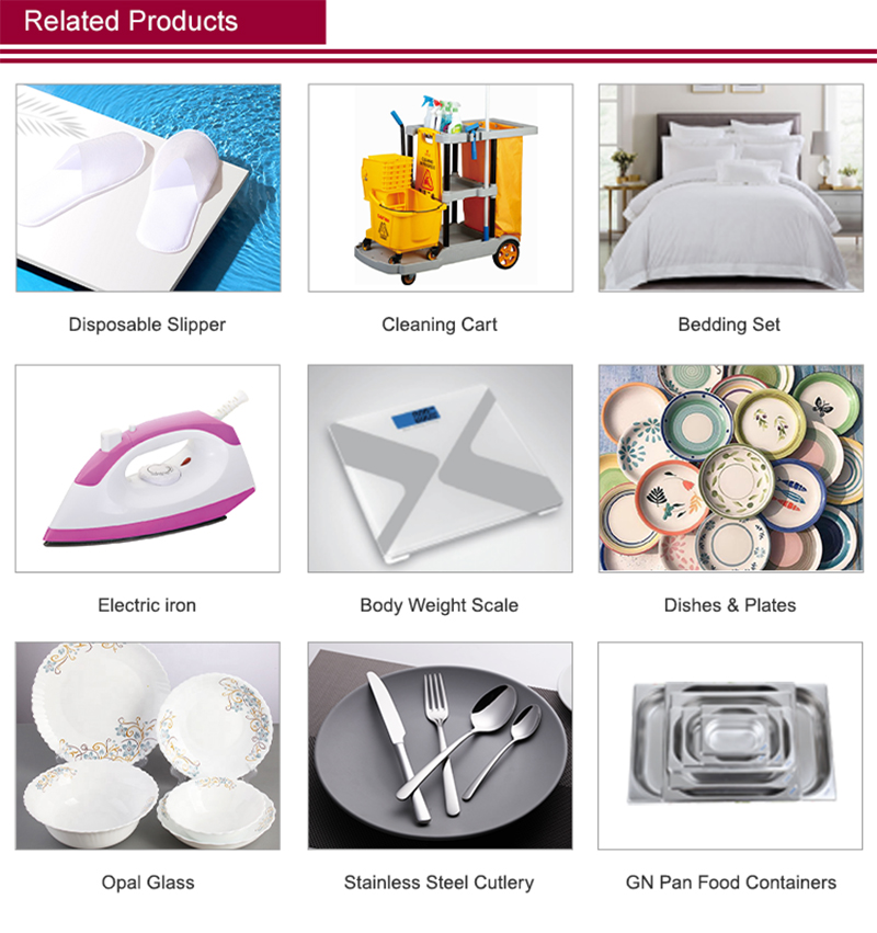 Hot Sales Hotel Guest Room Electric Dry Iron Multifunction Electric Iron Handheld Electric Iron Clothes