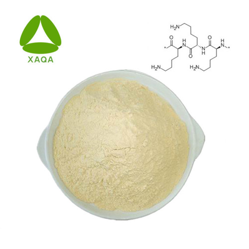 Preserative Polylysine CAS No 25104-18-1 Poudre