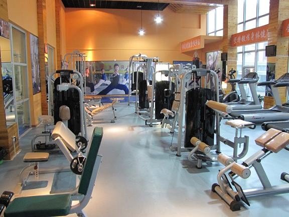 Gym Room Used Professional Commercial Vertical Knee Raise