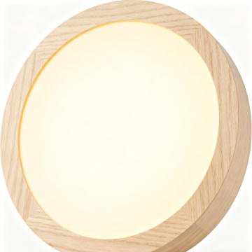 Modern Ceiling Lamp with Remote Control