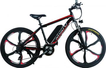 Hidden Battery Mountain E Bike