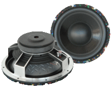 10"subwoofer For Car Audio?