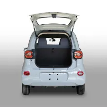 Family Children Pick-up Right Hand Electric Car