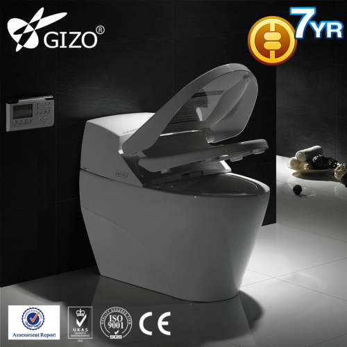 Bathroom Accessories Sanitary Ware Automatic Smart Water Closet Toilet LZ-0701z