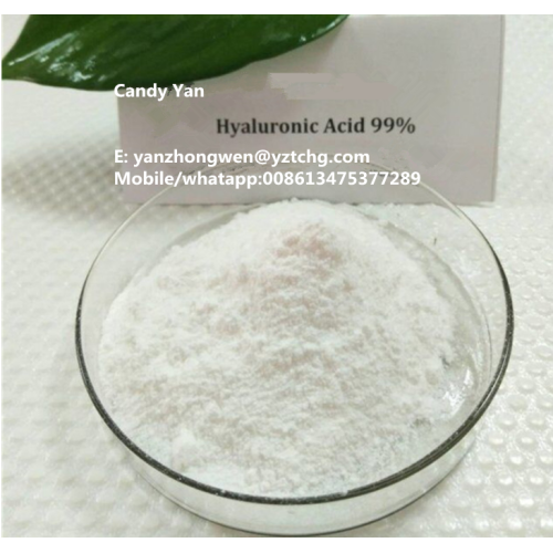 Pasokan pabrik bubuk asam hialuronat Kosmetik grad &amp; food grade sodium hyaluronate