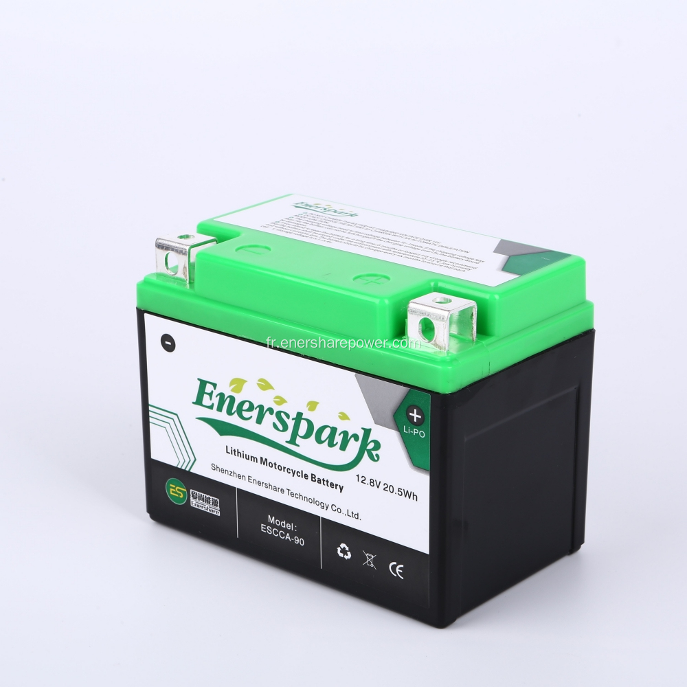 Batterie polymère lithium-ion rechargeable