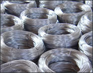 sell galvanized iron wire