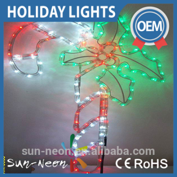 Holiday Programmable Led Christmas Lights