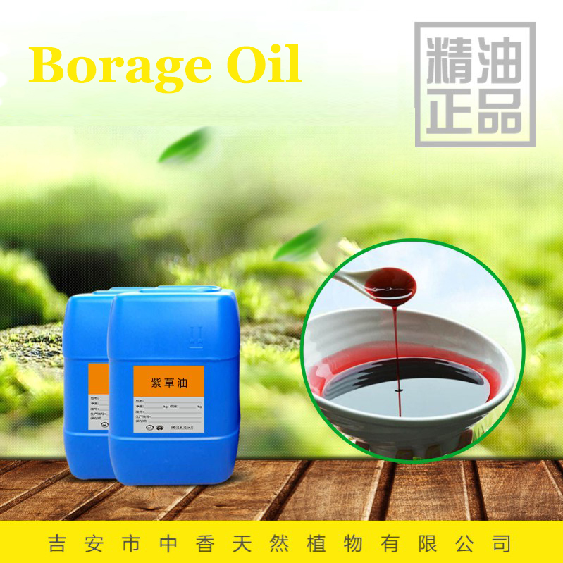 Wholesale borage oil bulk price top quality OEM