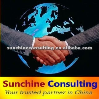 German Translation / Consulting and Interpretation Service