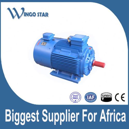 electric motor variable speed