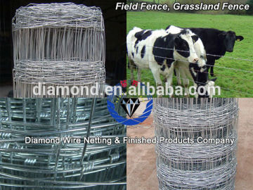 factory direct sale cattle fence/cattle fence post/cattle fence hot sale