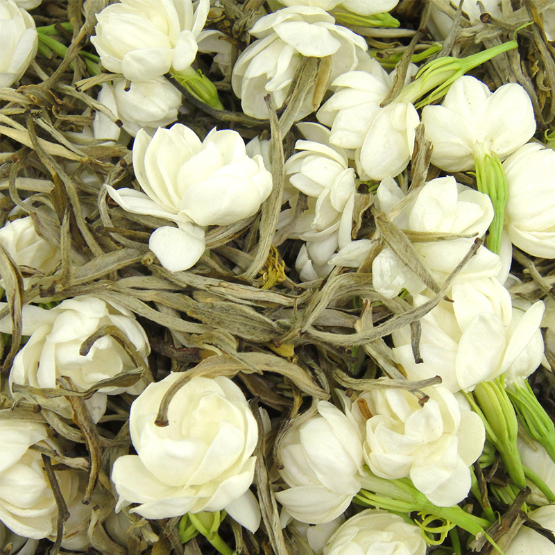 Organic Jasmine silver needle tips green tea