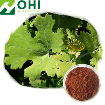 Macleaya Cordata Extract Powder