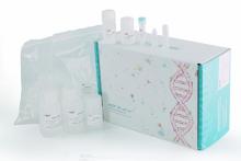 Bacteria Total RNA Purification Kit (Spin Column)