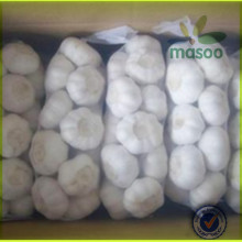 Fresh garlic, Fresh Vegetables, good quality from China