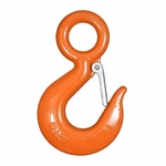 US Type A320 Galvanized Alloy Steel Drop Forged Locking Lifting Eye Hook with Safety Latch