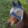 fly veil ear bonnet horse fly mask equestrian