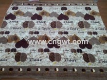 100% Polyester Cute Design Flannel Blanket?