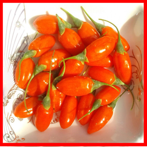 2018 crop low pesticide dried goji berry for sale