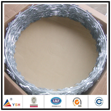 Concertina galvanized barbed razor wire on the wall