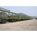 Dongfeng fuera de carretera camión de carga militar del ejército desierto