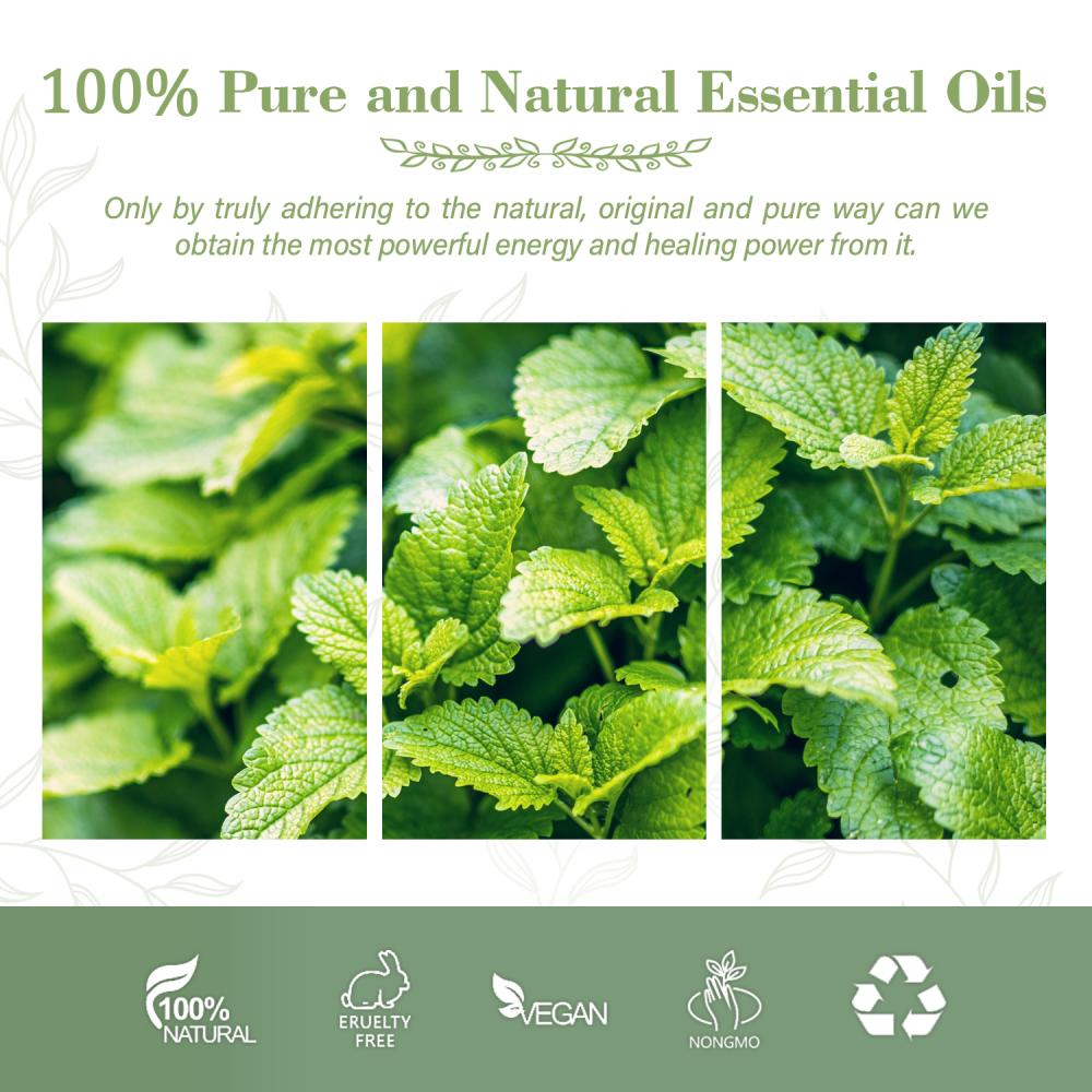 Melissa Essential Oil 100% Pure Organic Melissa Oil Cor Skin Care Cosmetic