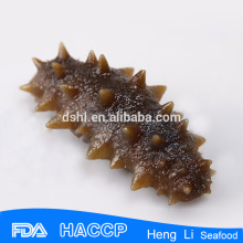 HL011 Low-Fat seath price of the sea cucumber price wholesales