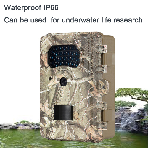 Onderwater Plant Research Trail Camera