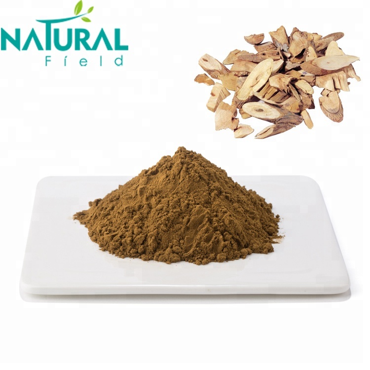 Preço de fábrica Chinese Angelica Extrat 10: 1Angelica Extrat Powder