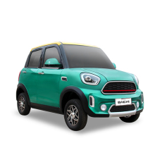 Professional Manufacturer: Cheap, Quick Reply, Hot Sale Electric Mini EV Cars
