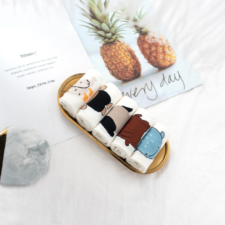 Koleksyon ng mga naka -print na medyas na naka -print na bangka ng hayop