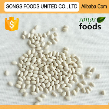 Chinese Exporters White Kidney Beans