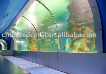 salt water fish tank