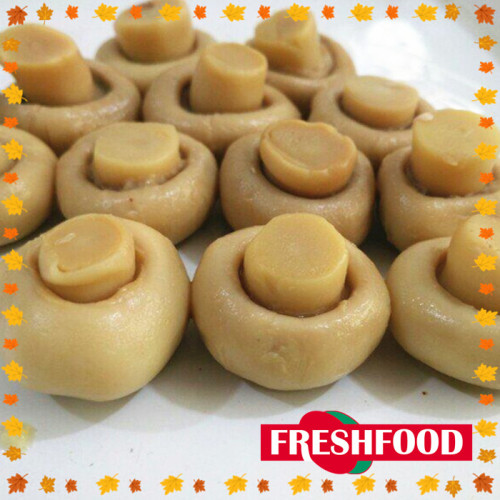 Import Chinese canned mushroom with cheap price