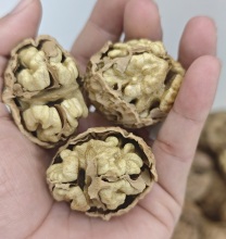 natural gold walnut kernels