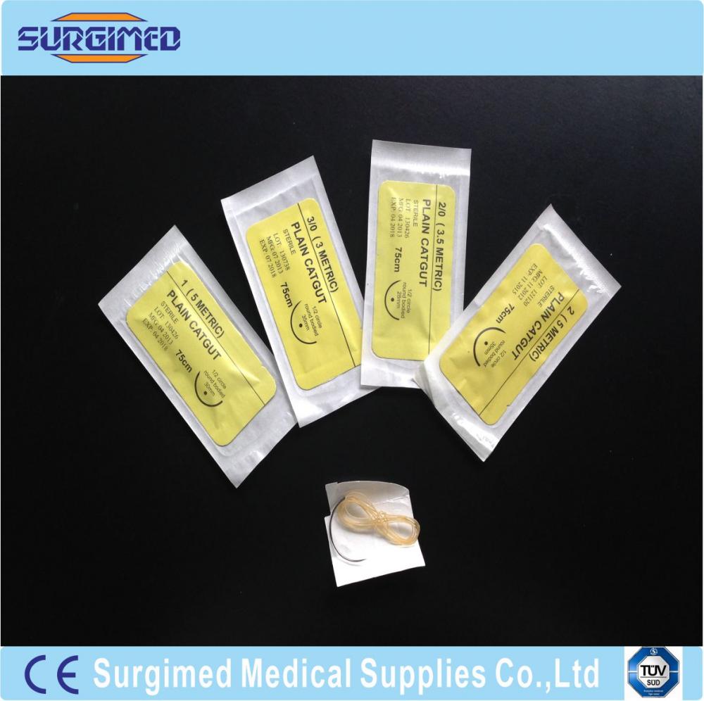 Surgical Suture 6 Catgut