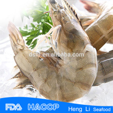 HL002 Frozen best price vannamei shrimp