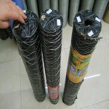 hexagonal wire mesh/hexagonal wire fabric/screen/netting/net