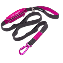 Reflective dog training pouch leash