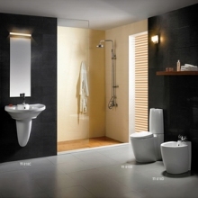 Ceramics Sanitary Ware-Roca Design Bathroom Toilet and Bidet Sets (TT-818B/C/D)