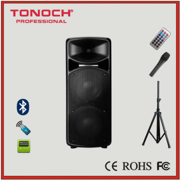 Bi-Amp Double 15" Woofer Powerful PA Speaker