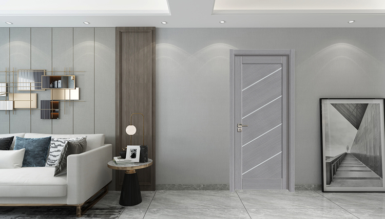 Project Solution Modern House Grey Interior Door